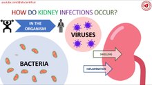 How do kidney infections occur?