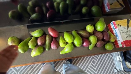 Back in Addis Ababa and Healing from Severe Food Poisoning 🇪🇹