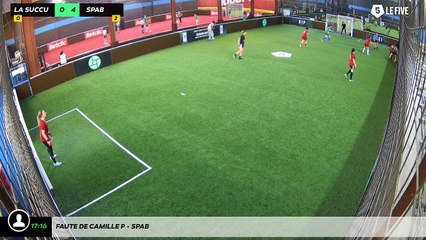 Faute de Camille P - Spab