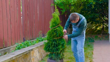 Des ASTUCES de jardinage simples et efficaces pour aider vos plantes à prospérer !