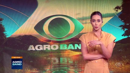 Preço do ovo cai em abril e Cepea prevê estabilidade nos próximos meses