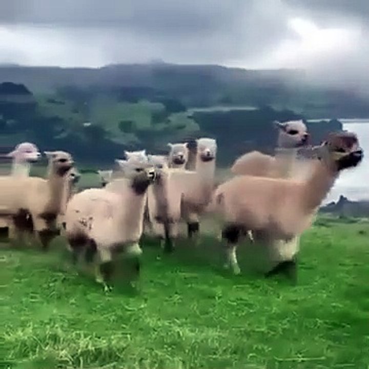 ساعة كاملة من اروع تلاوات القران الكريم