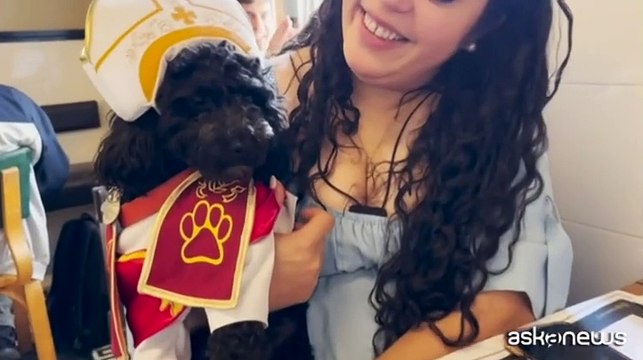 Habemus puppy: il cane Romeo vestito da papa fa sorridere