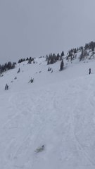 Felix McCall, Quad Backflip, Trick of the Winter Submission