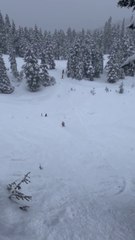 Marcus Goguen, Trick of the Winter Submission