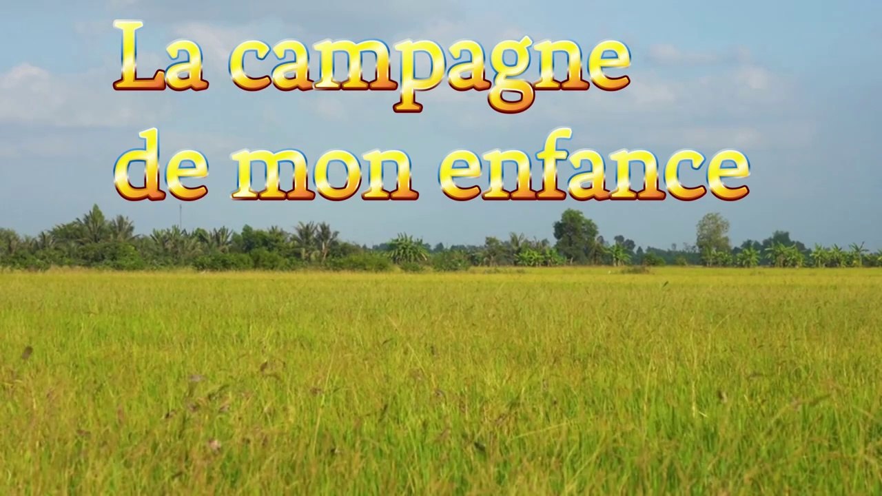 La campagne de mon enfance