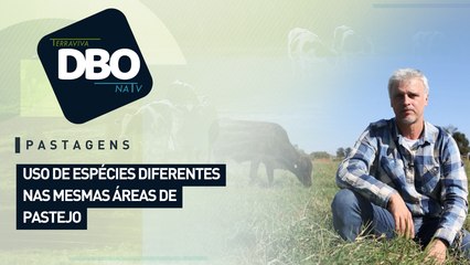 Uso de espécies diferentes nas mesmas áreas de pastejo