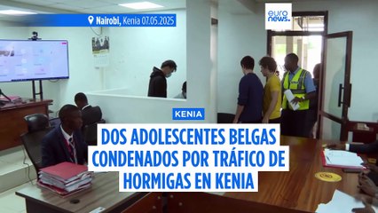 Multa de 7.700 dólares o un año de cárcel a dos adolescentes belgas encontrados con 5.000 hormigas en Kenia