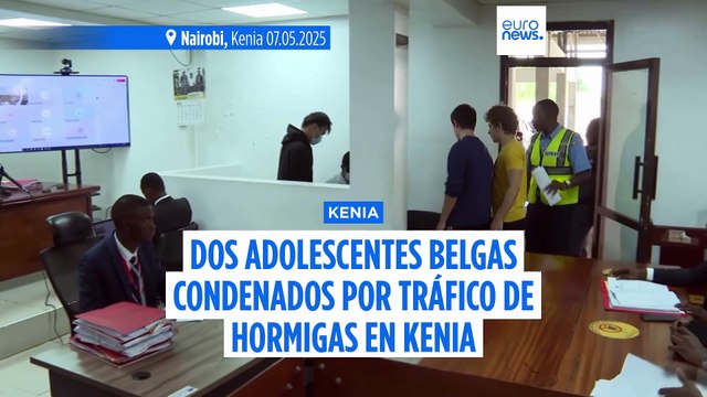 Multa de 7.700 dólares o un año de cárcel a dos adolescentes belgas encontrados con 5.000 hormigas en Kenia