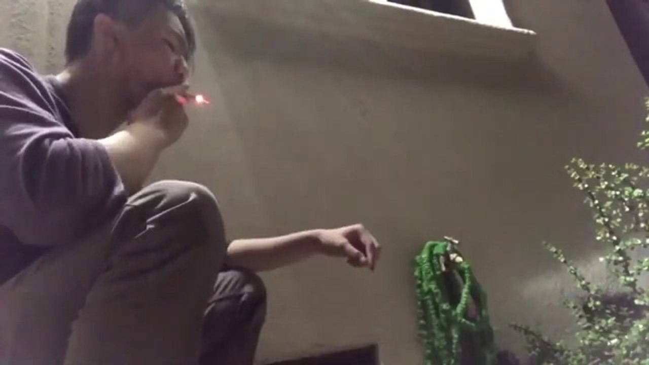 The Thrill (Short Film By: Ethan Trinh)