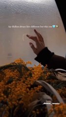 AP dhilon best song ❣️ Jado da tera mukh waikhya,#reel_#trendingshorts_#dailymotion