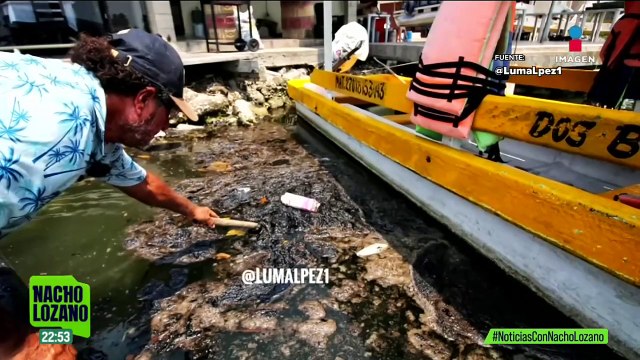 Playas cerradas y fauna muerta tras derrame en Paraíso, Tabasco