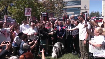 SON DAKİKA HABERİ... AYM sokak hayvanları düzenlemesinin iptalini reddetti