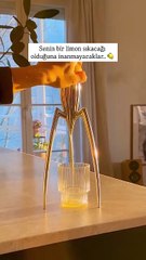 elon musk'ın limon sıkacağı