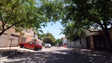 Poda de Árboles en el Pasaje Ottone - Godoy Cruz - Mendoza - Argentina