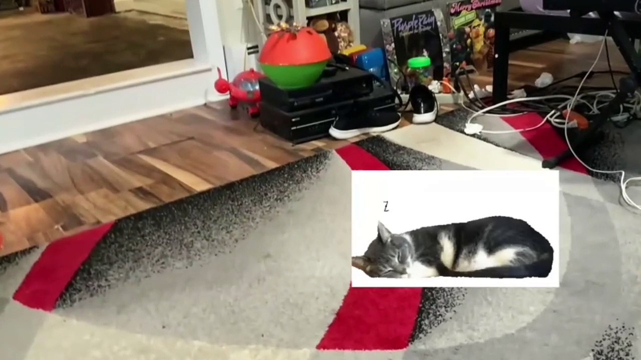 Sesame Street - A Bad Day Crash Angry Cat Fight Very Very Super Duper Fastest Scene (2007)