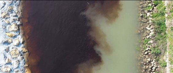 Junk - Armadi pieni | show | 2023 | Official Trailer