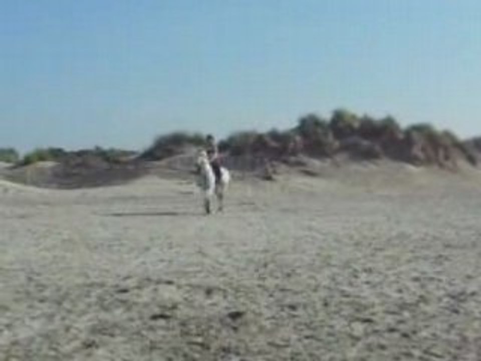 DSCN0698
