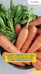 Ternyata Ada 3 Tanaman yang Baik untuk Kesehatan M