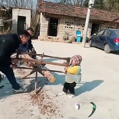 How sensible! Children who just learn to walk help their families to earn money