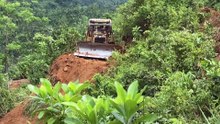 XL D6R Bulldozer Strategy to Form a Palm Terrace on a Mountainside