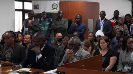 Kenyan court fines ant traffickers $7,700 each