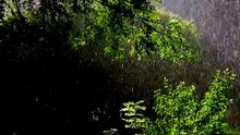 Rain Sound for Relaxing, Sleeping •  Sound Relaxation