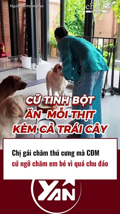 Chị gái chăm sóc thú cưng mà CĐM cứ ngỡ như chăm con