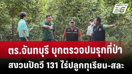ตร.จันทบุรี บุกตรวจปมรุกที่ป่าสงวนปัถวี 131 ไร่ปลูกทุเรียน-สละ | เที่ยงทันข่าว | 8 พ.ค. 68