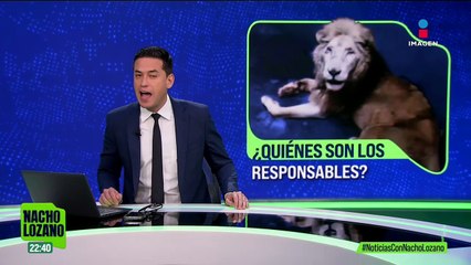 Animales en condiciones deplorables en zoológicos de Zacatecas, Querétaro y Culiacán