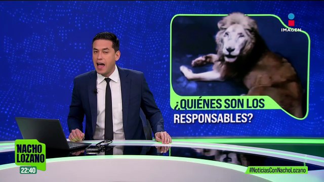 Animales en condiciones deplorables en zoológicos de Zacatecas, Querétaro y Culiacán