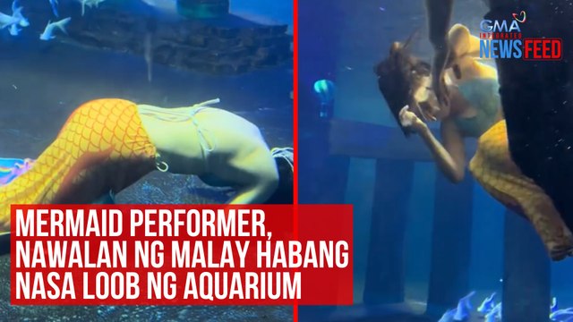 Mermaid performer, nawalan ng malay habang nasa loob ng aquarium | GMA Integrated Newsfeed