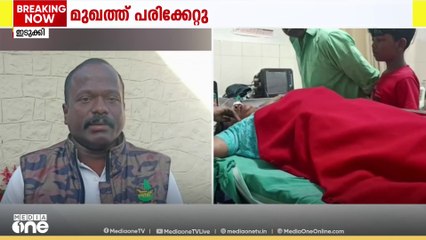 ഇടുക്കിയിൽ കാട്ടാനയെ കണ്ട് ഓടി; തോട്ടം തൊഴിലാളിക്ക് പരിക്ക്