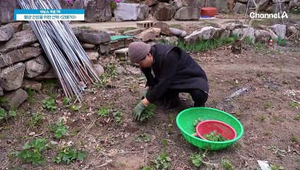 혈관질환 완화에 도움 되는 오메가3 제대로 알고 먹자!