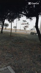 Today Urdu poetry lines [ Poetry Lover ]  #poetry #trending #trend #2025 #reels