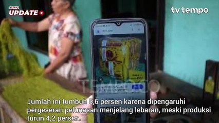 Penerimaan Pajak Tembakau Capai Rp 55,7 Triliun pada Kuartal I 2025