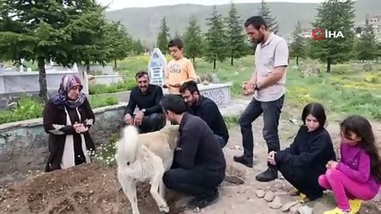 İnsanın insana yapmadığını yetim kalan Garip yaptı...