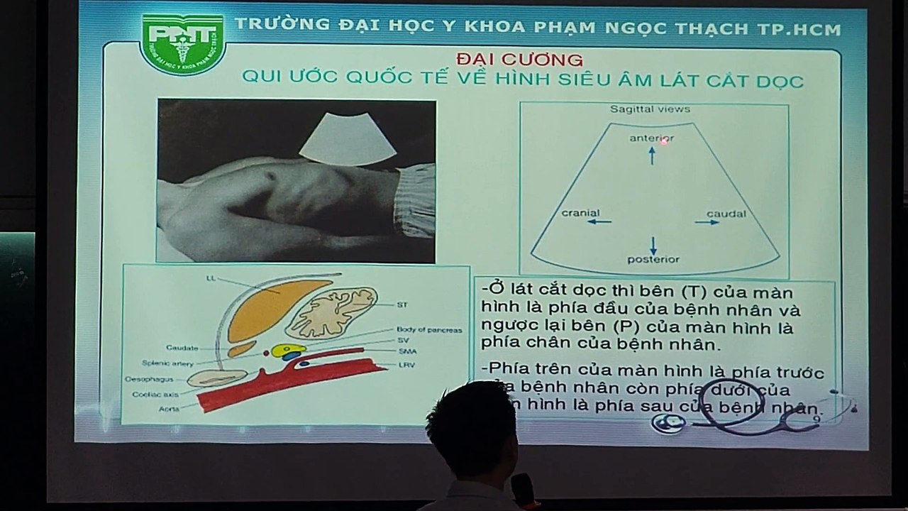 Khám siêu âm bụng tổng quát và các mặt cắt cơ bản vùng bụng