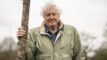 David Attenborough Ocean directors reveal what 99-year-old broadcasting legend is really like to work with