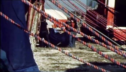 Johnny Hallyday – Son Année Rétro au Johnny Circus (JT 20h – 29 Décembre 1972)