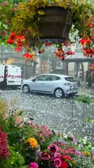 Hailstorm Hits Paris! 🌩️ Chaos at Flower Market – May 3, 2025