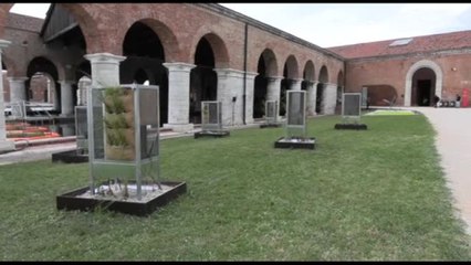 Apre la Biennale Architettura: tutte le intelligenze per cambiare