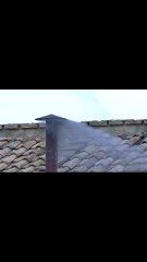 MOMENT: First smoke on second day of conclave is black, indicating cardinals haven't elected new pope