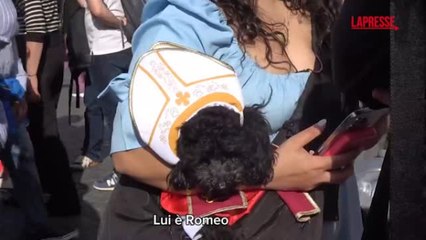 In Piazza San Pietro spunta Romeo, il cane vestito da Papa
