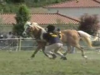 Chausettes 4/05/08 CADET ELITE