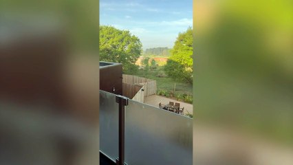 Couple have "dream wedding" after winning a free £12,000 ceremony at a zoo