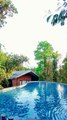 Best resorts in Wayanad