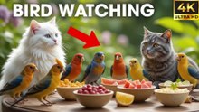 Ultimate Video for Cats to Watch Bird Fly Around the Garden – Your Cat Will Go Crazy!