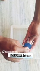😍😍साइंस स्कूल प्रोजेक्ट घर पर आसानी से नो वेस्ट पानी 🤗🤗