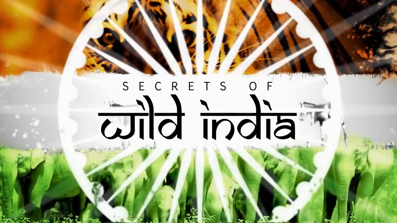 Sir David Attenborough || Secrets of Wild India Season 1 - Ep2 Tiger Jungle